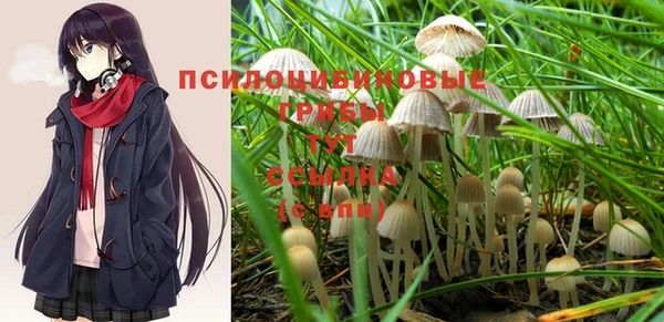 трава Абдулино